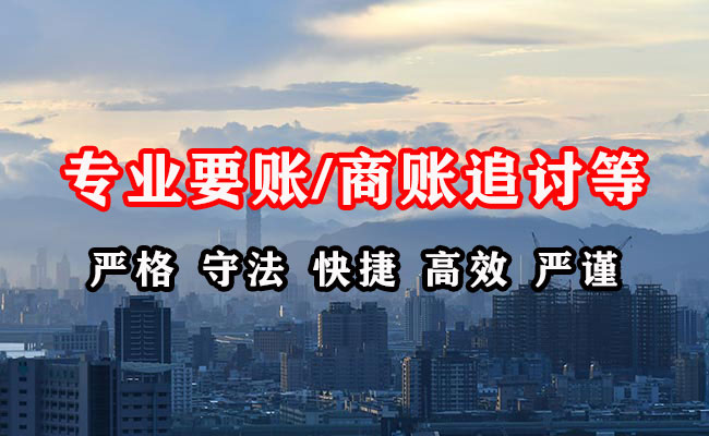 广丰收债公司